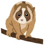 ユーザー画像