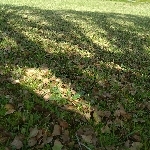 userPhoto
