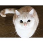 userPhoto
